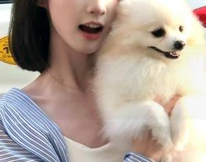 91icg苹果版，怎么可能错过这波新鲜瓜？