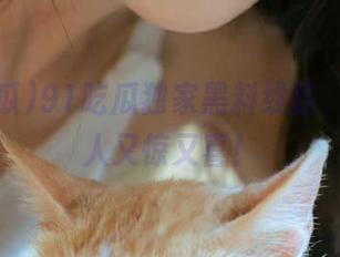 91吃瓜独家黑料线路，真相让人又惊又喜！