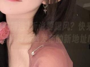 听说要跟风？快来查查冲哥黑料精选发布的新地址!