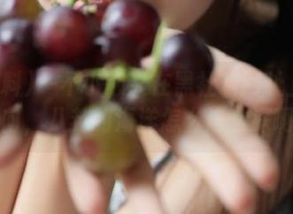 一不小心又在黑社料网址上迷失方向，八卦的海洋怎么这么深啊？